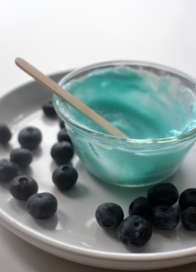 fruit_blue_yog