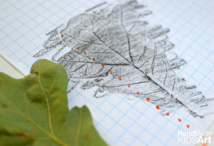 leaf rubbing graph