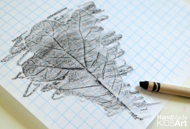 leaf rubbing graph 1